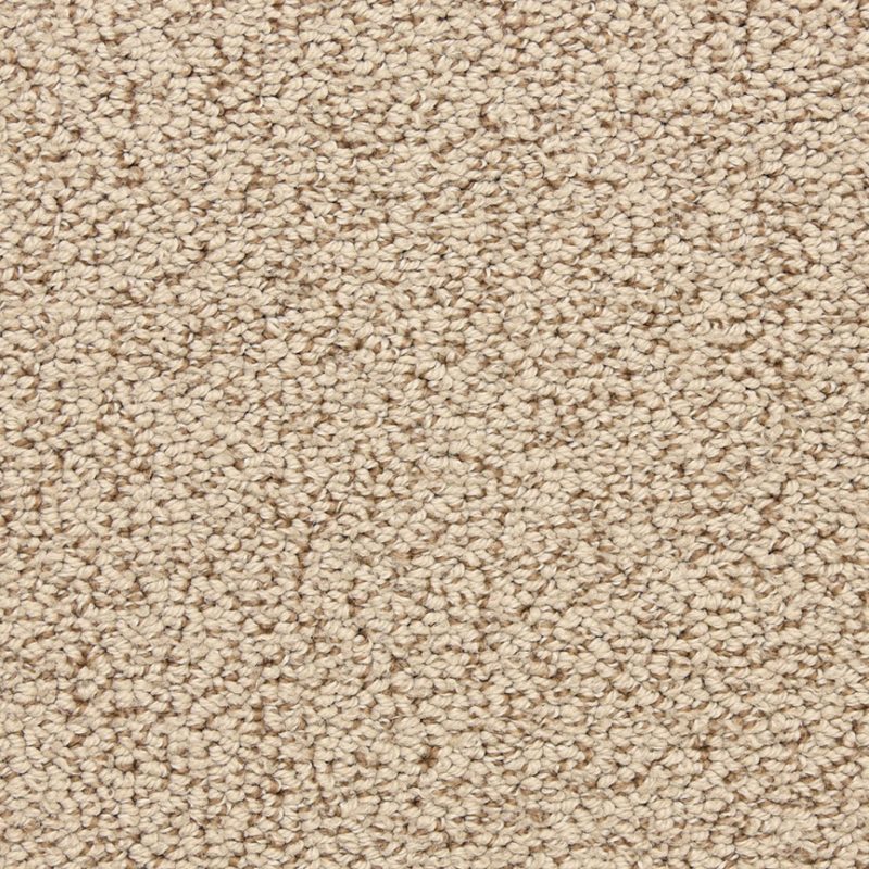 Masland Marina Del Mar Carpet 9614 355 Fovama Rugs & Carpets of