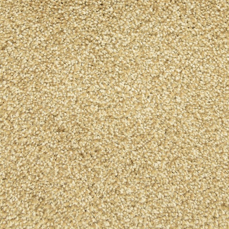 Masland Delray Carpet 9628 463 Fovama Rugs & Carpets of Westchester