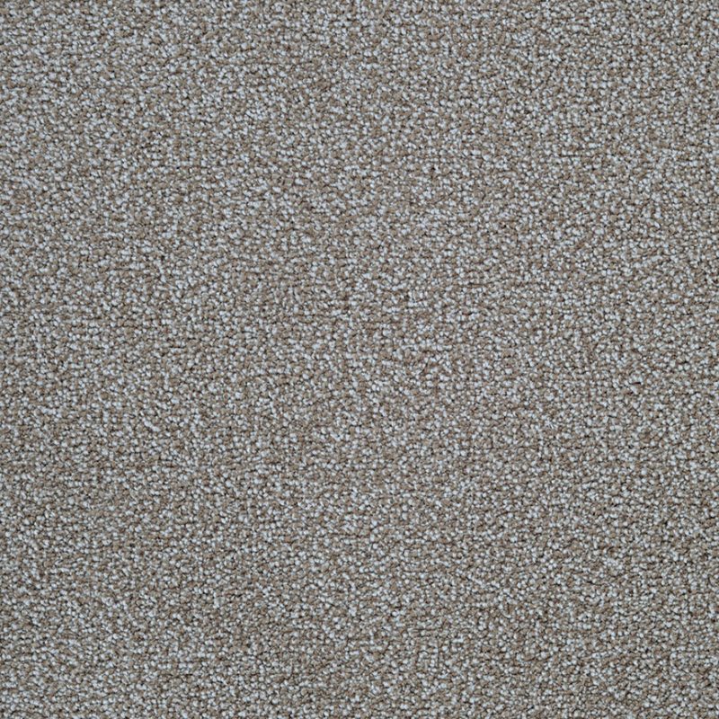 Masland Delray Carpet 9628 787 Fovama Rugs & Carpets of Westchester